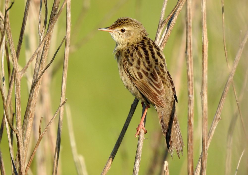 Photograph by Татьяна Калугина