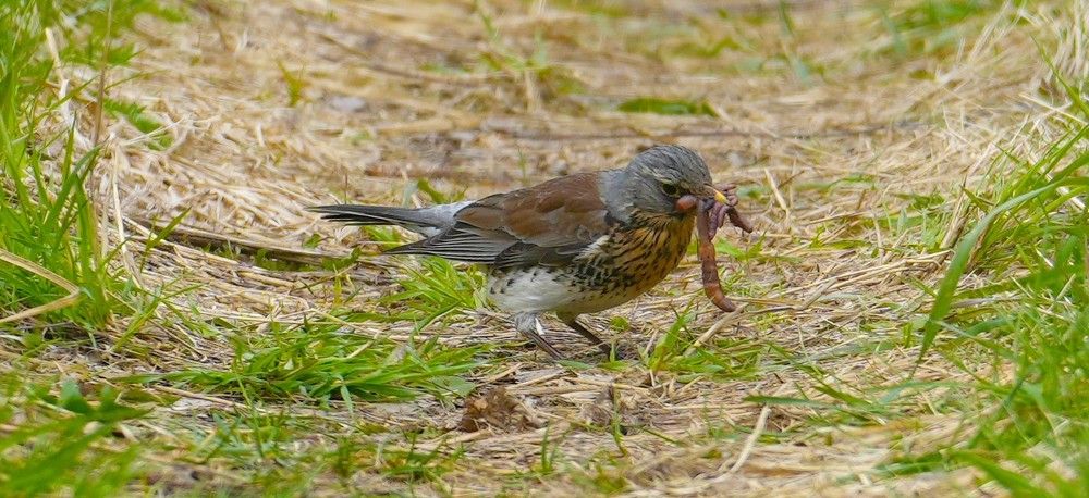 Photograph by Михаил Трусов