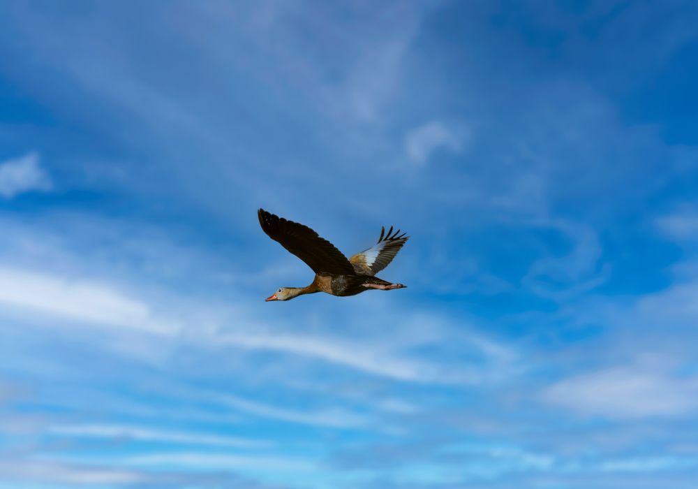 Photograph by Jaime Trejo