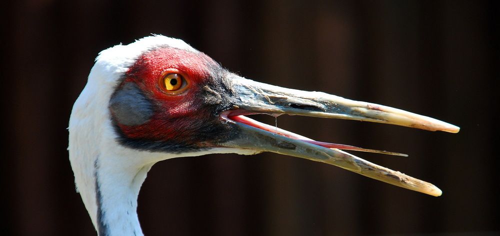 Photograph by Вадим Гераскин