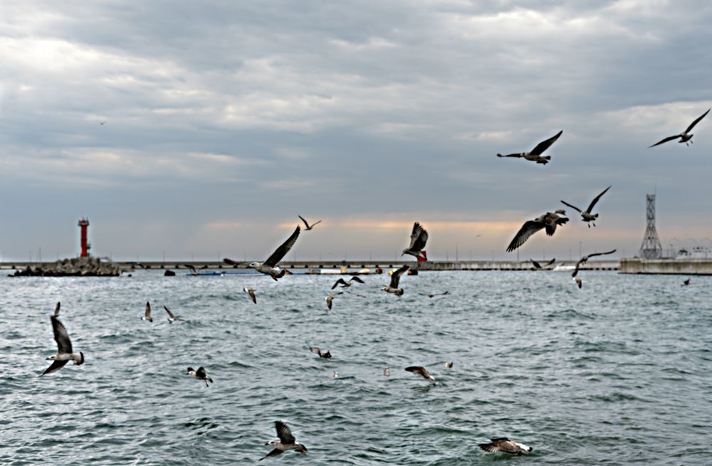 Photograph by Елена Гоосен