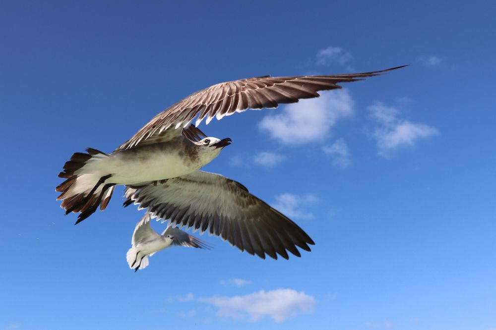 Photograph by Dagmar Vopolková