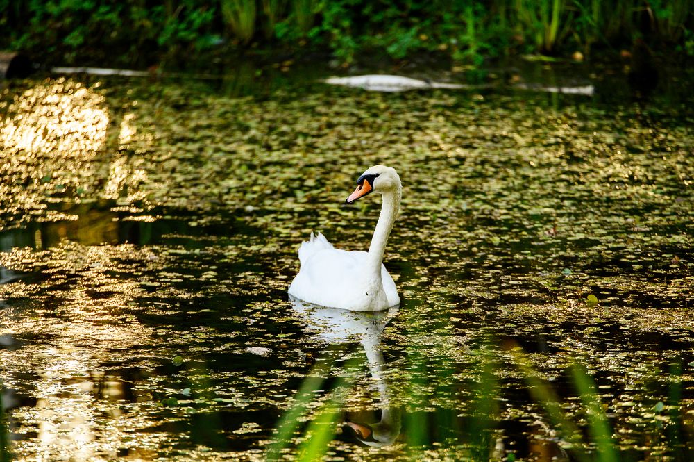 Photograph by Азат Ягудин