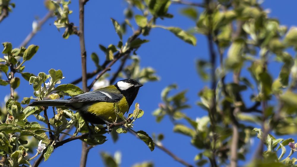Photograph by Алексей Парамонов