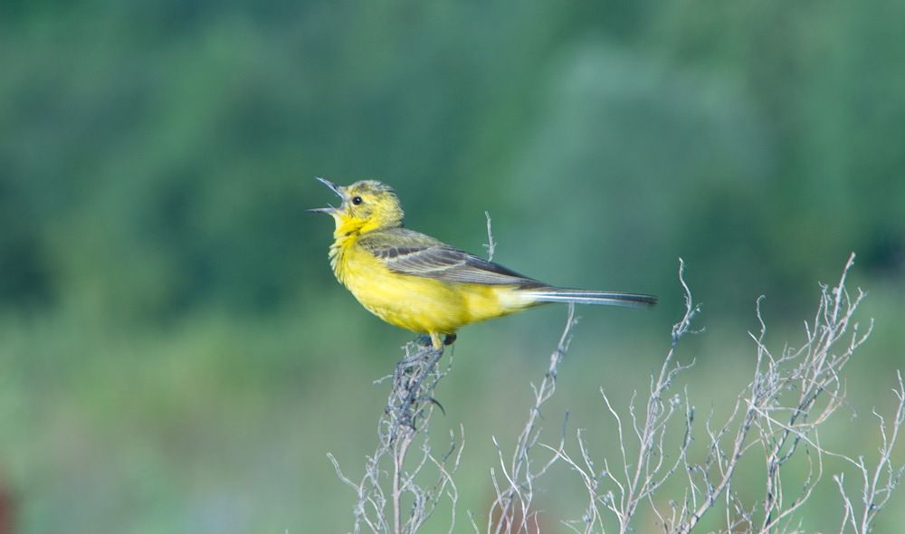 Photograph by Василий Быстрицкий