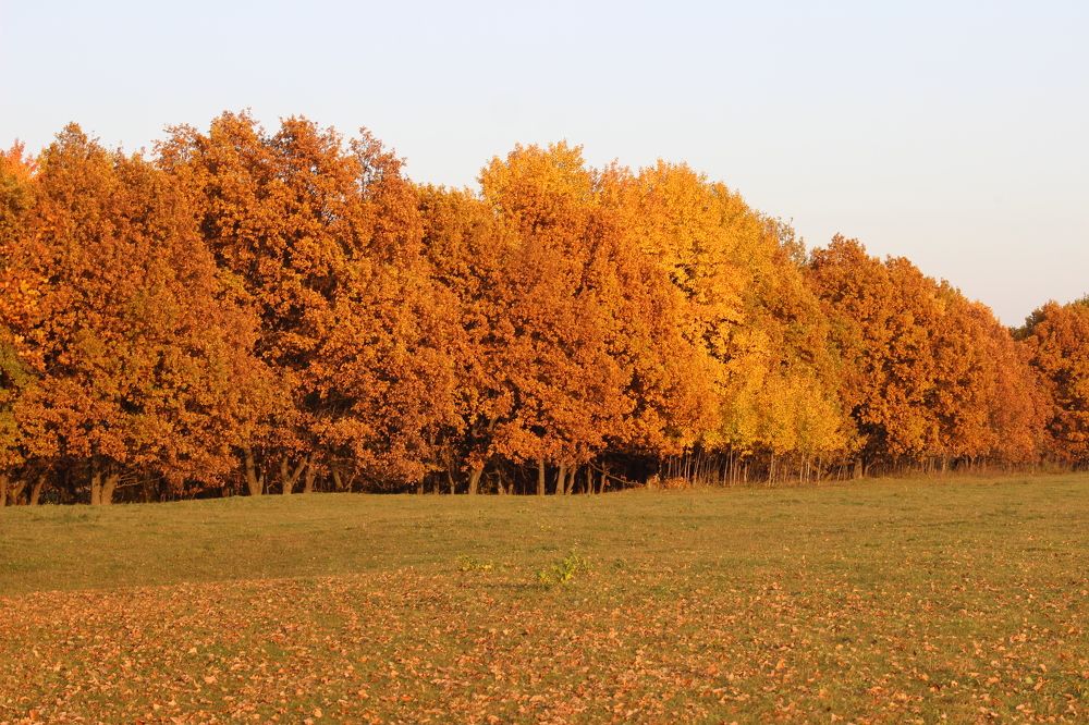 Photograph by Зульфия