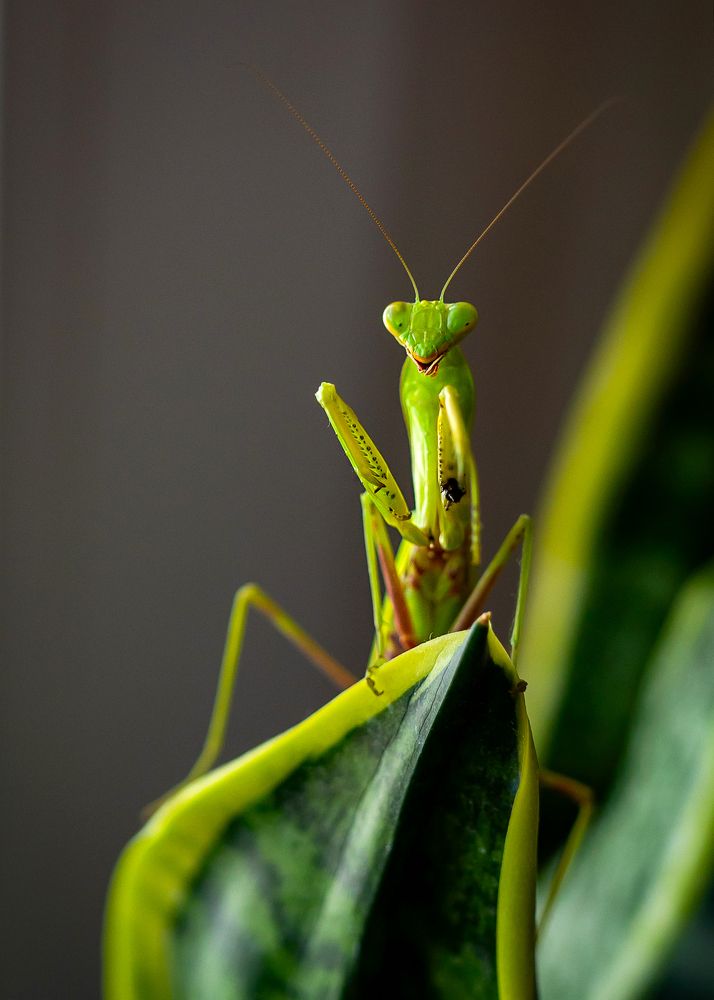 Photograph by Анна Анатольевна