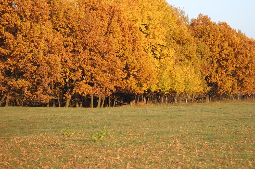 Photograph by Зульфия