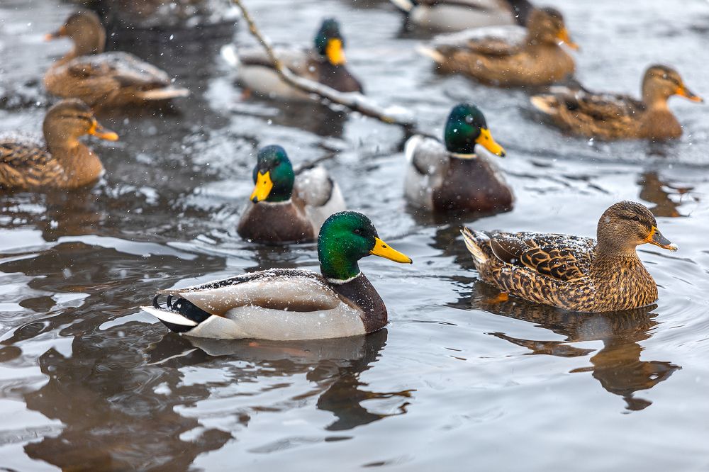Photograph by Алексей Бондаренко