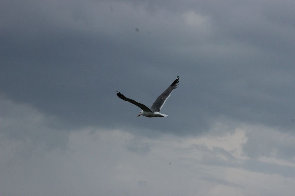 Photograph by Зульфия