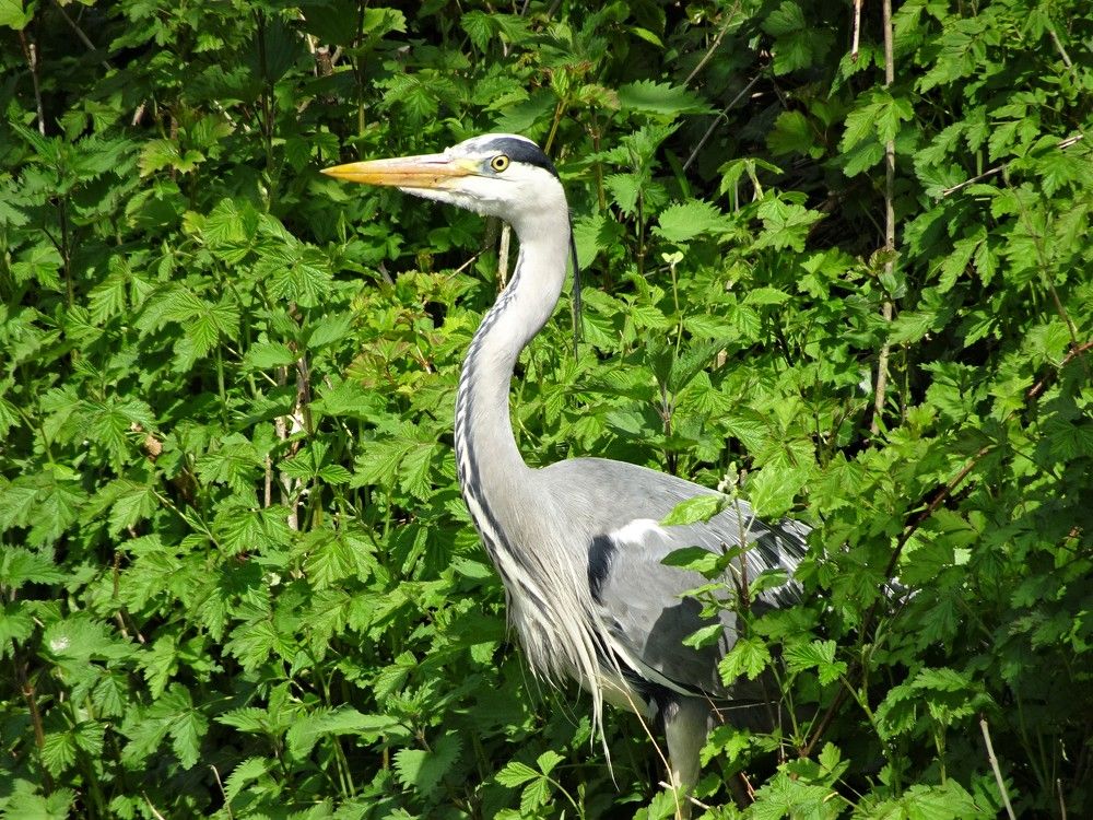 Photograph by Мила Милая