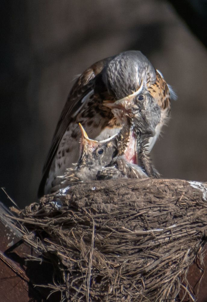 Photograph by Борис Юрьев