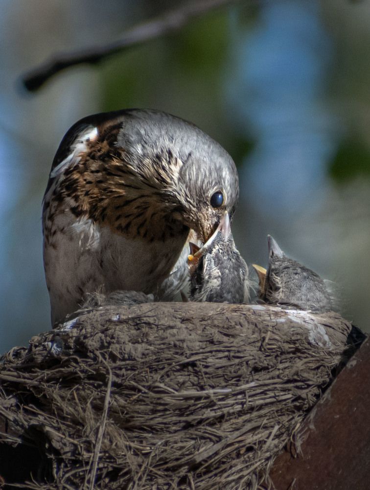 Photograph by Борис Юрьев