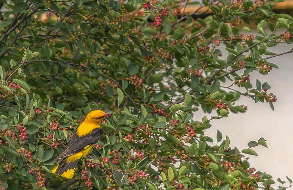 Photograph by Цветков Сергей