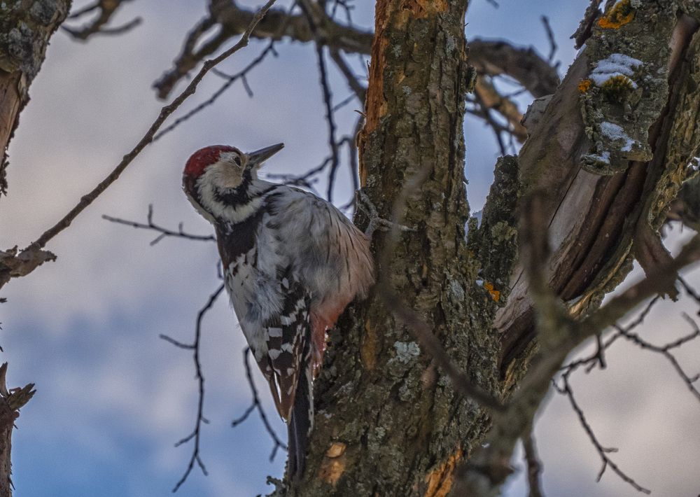 Photograph by Цветков Сергей