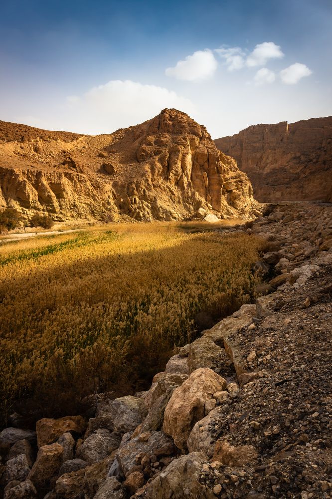 Photograph by Amine Be Romdhane