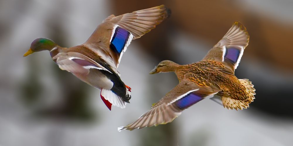 Photograph by Михаил Трусов