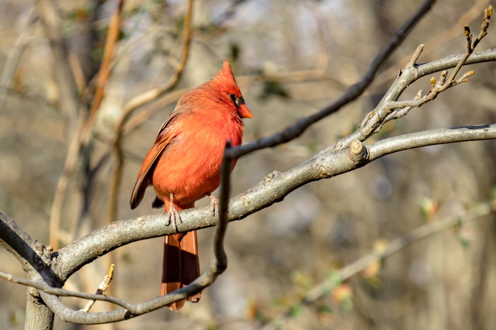Photograph by Кермен Манджиева