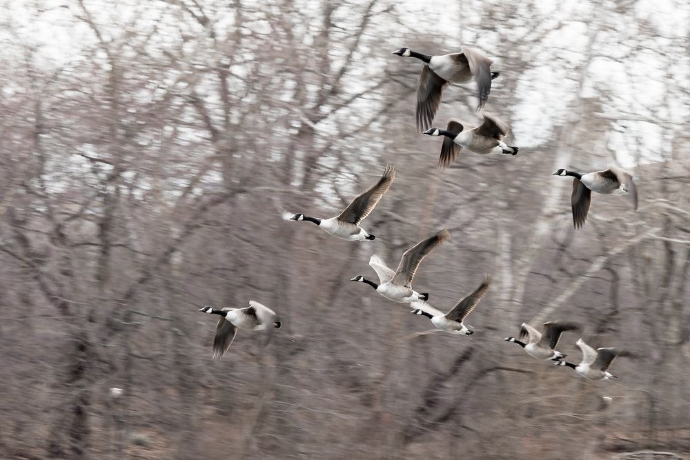 Photograph by Кермен Манджиева