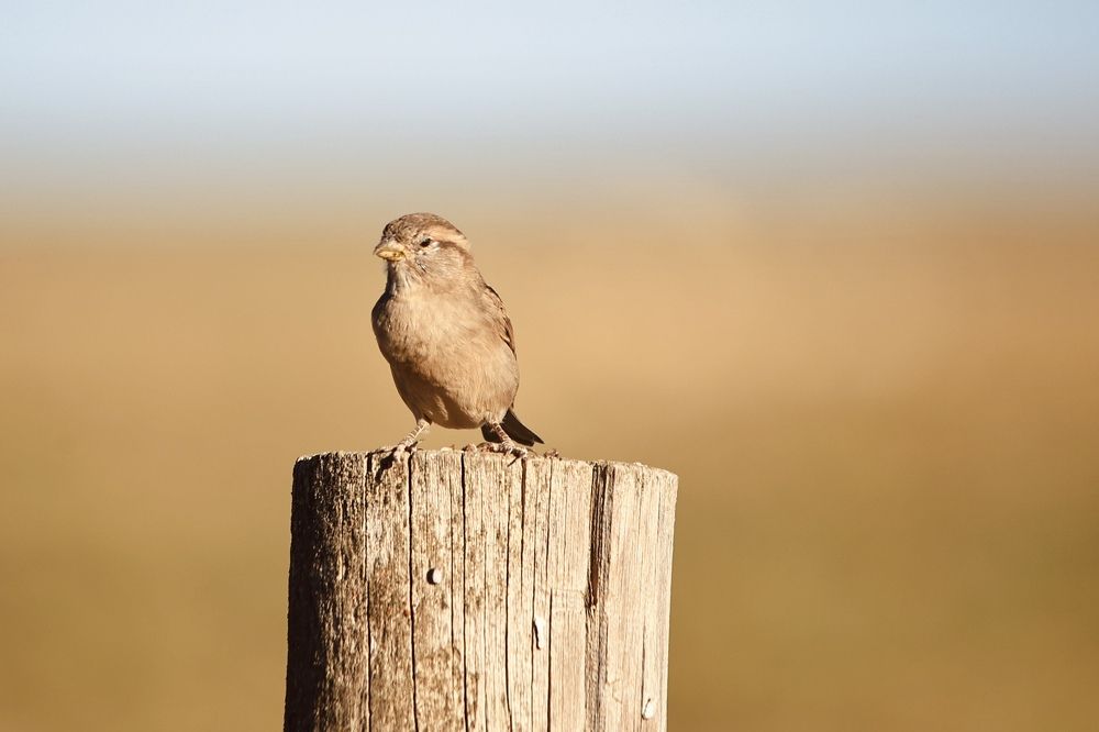 Photograph by Виктор Владимиров