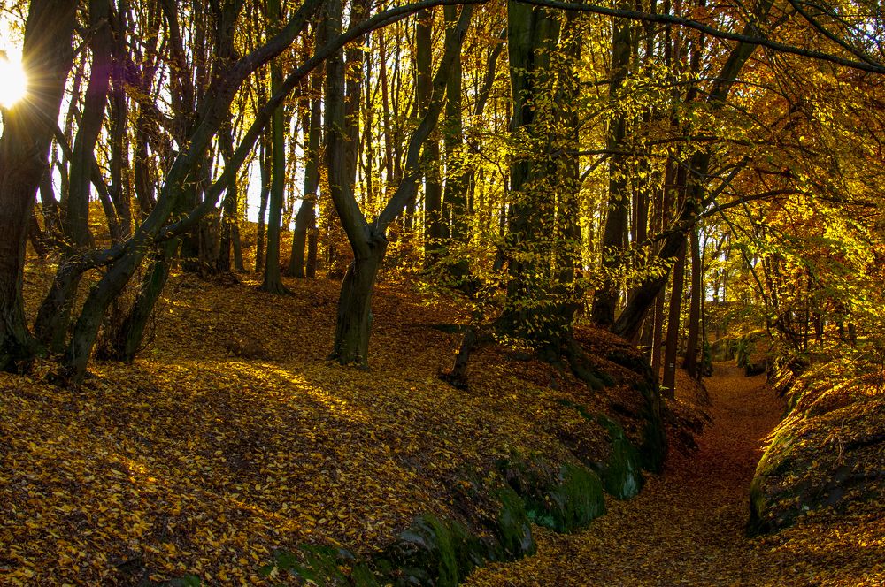 Фотография автора Chorche Prigo