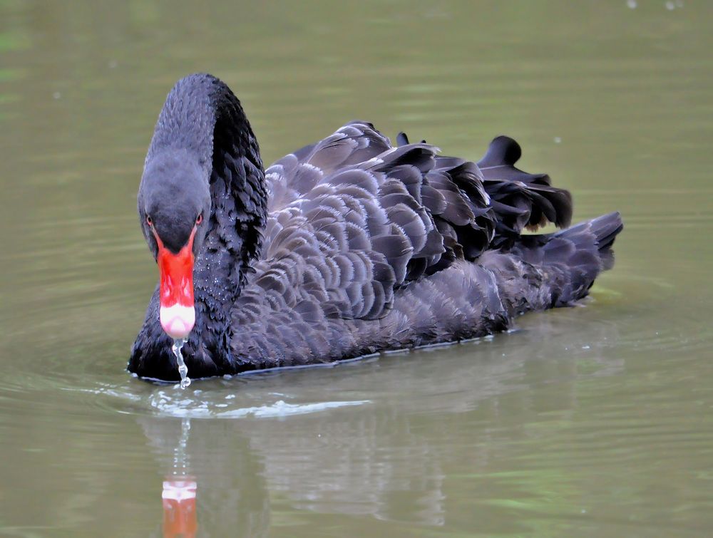 Photograph by Александр Каплан