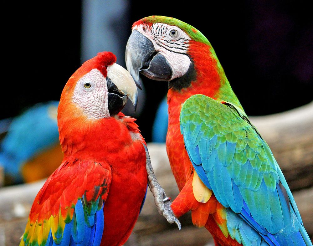 Photograph by Александр Каплан