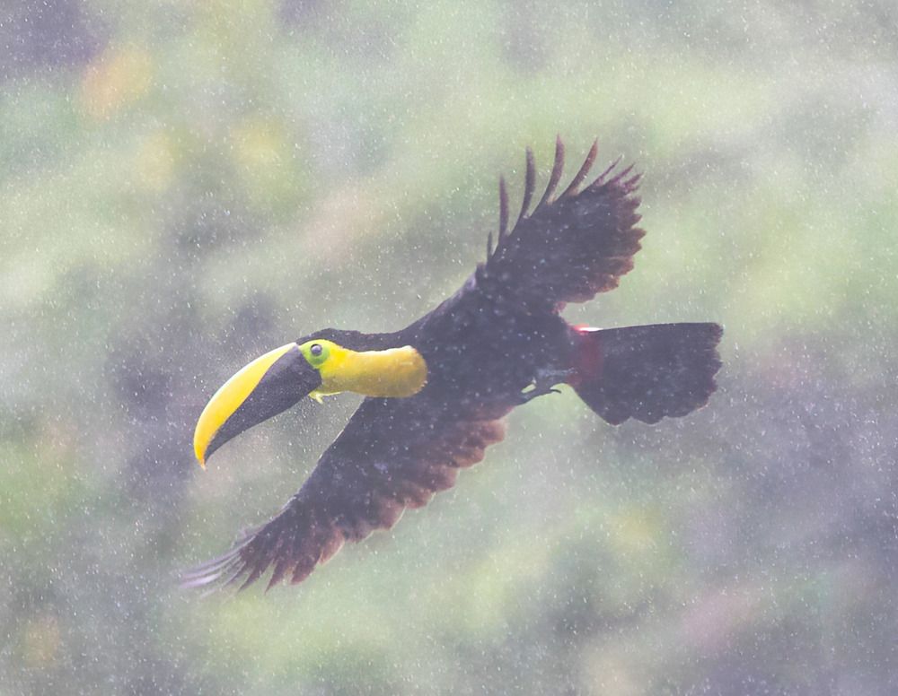 Photograph by Jair Lozano