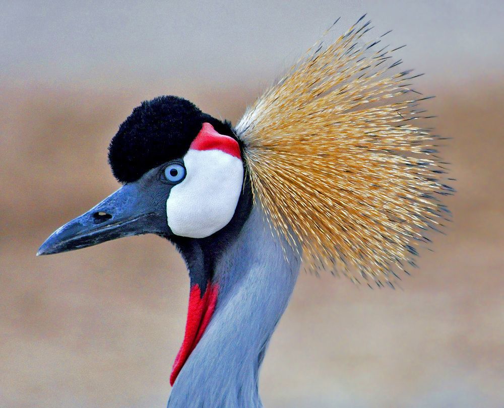 Photograph by Александр Каплан