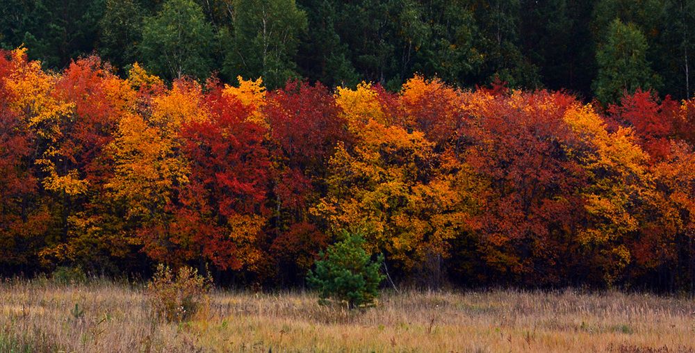 Photograph by Александр Каплан