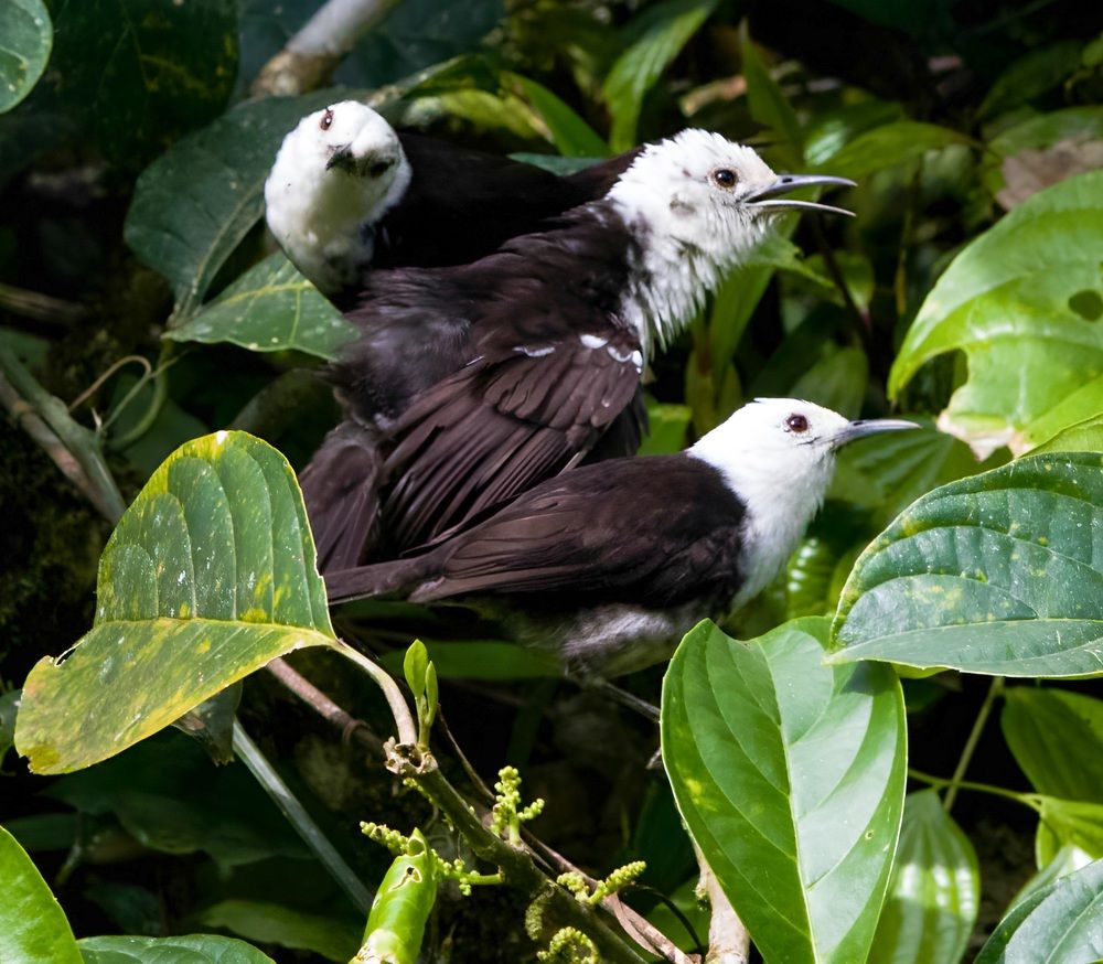 Photograph by Jair Lozano