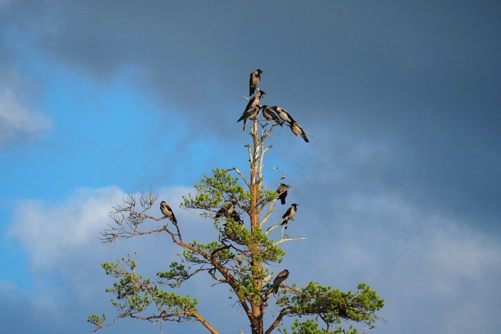 Photograph by Сергей Пушкин