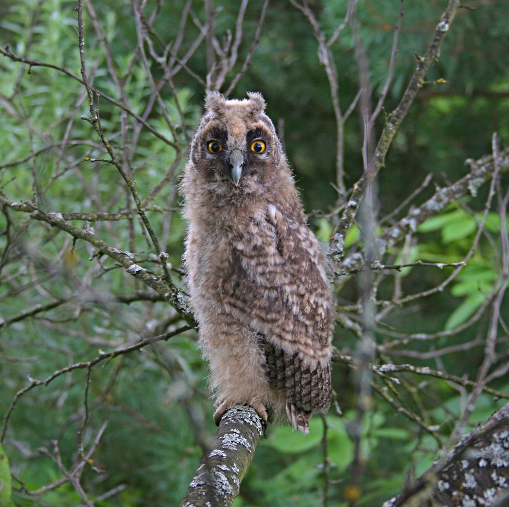 Фотография автора Рожнов Кирилл