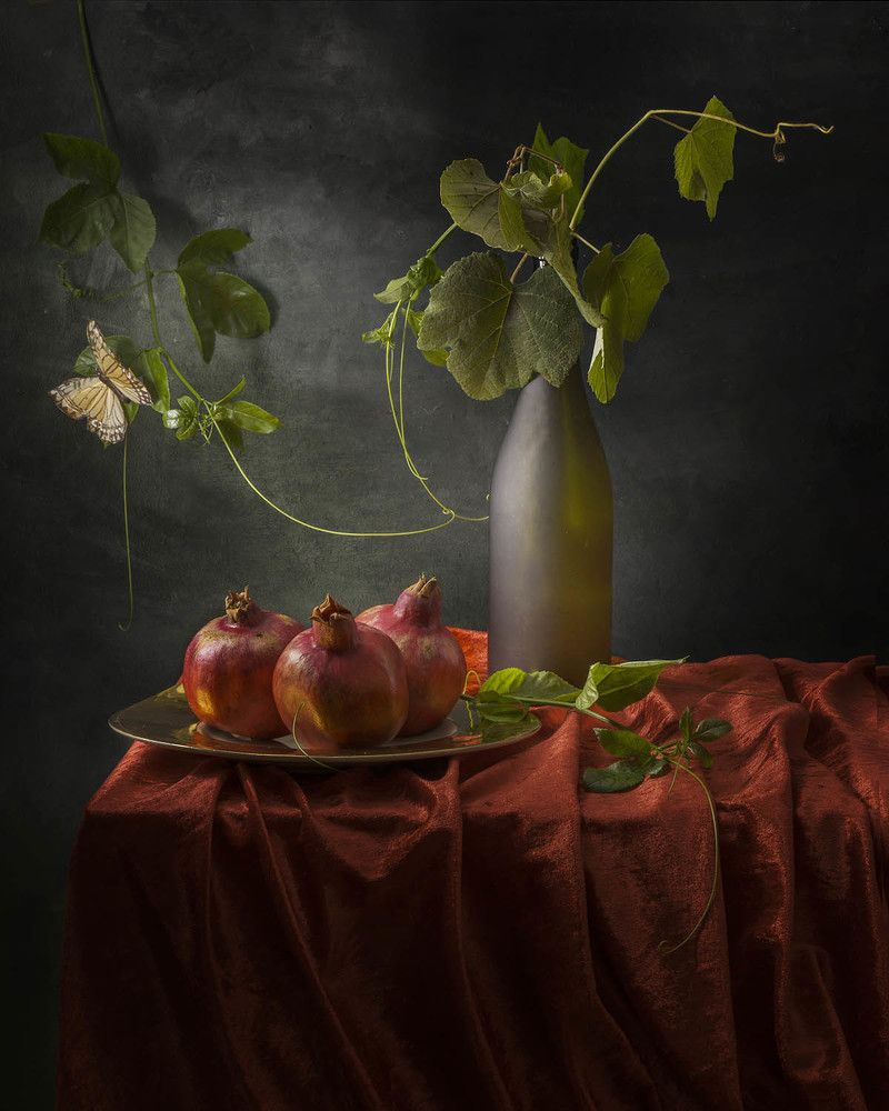 Photograph by Солодар Виктория