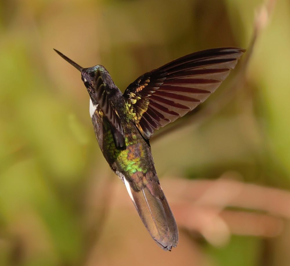 Photograph by Jair Lozano