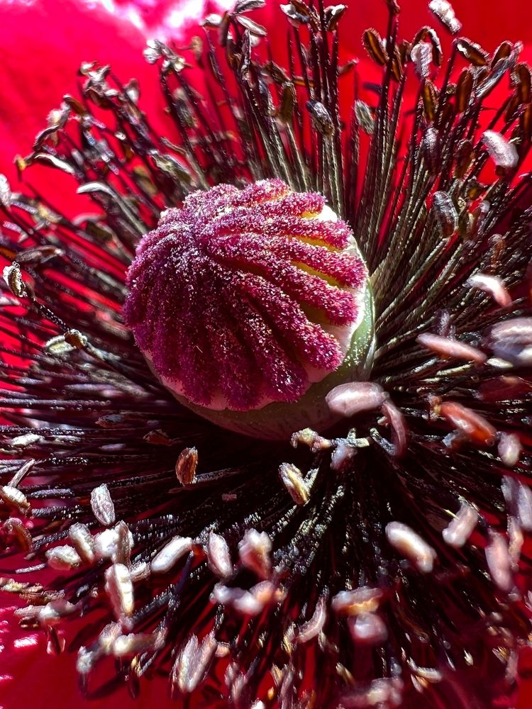 Photograph by Татьяна Волохова