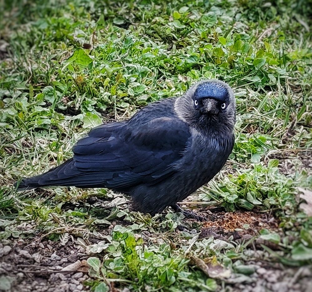 Photograph by Дайана