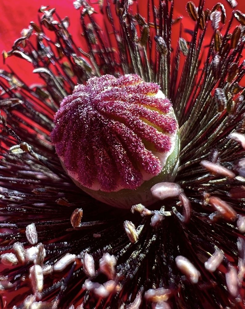 Photograph by Татьяна Волохова