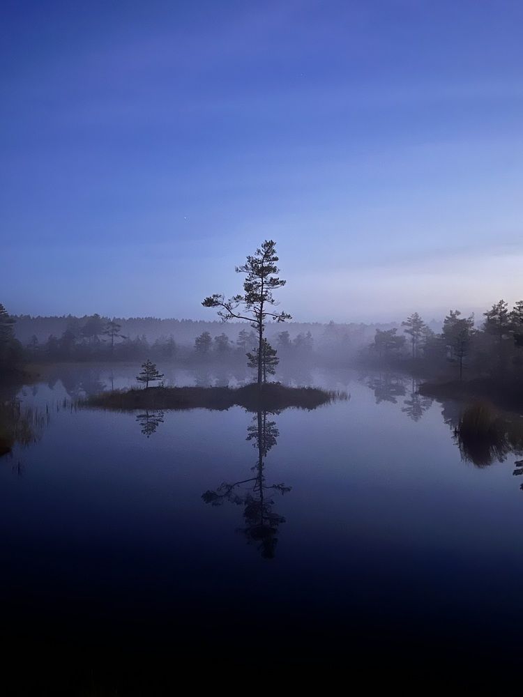 Фотография автора Veronika Lemke