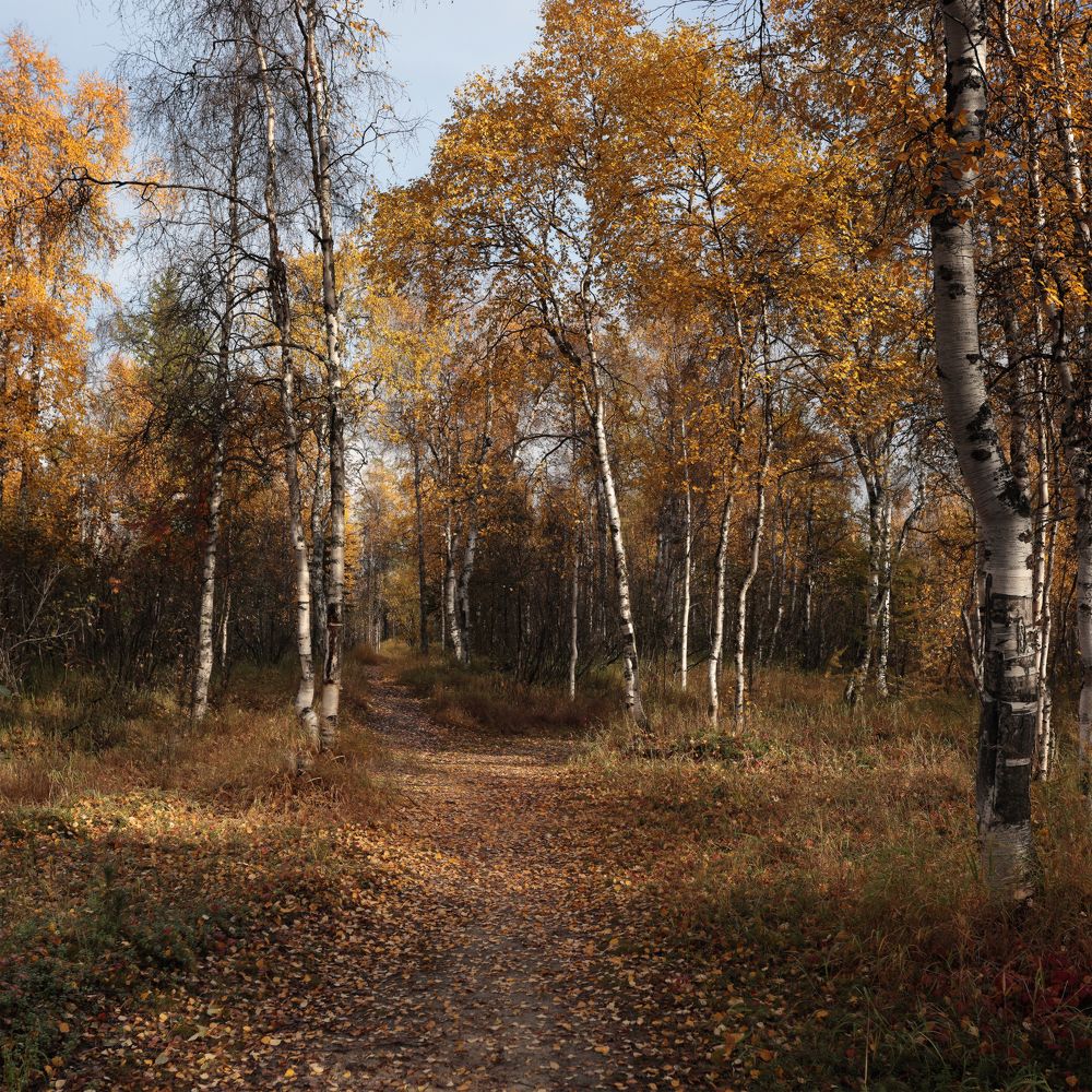 Photograph by Светлана Смирнова