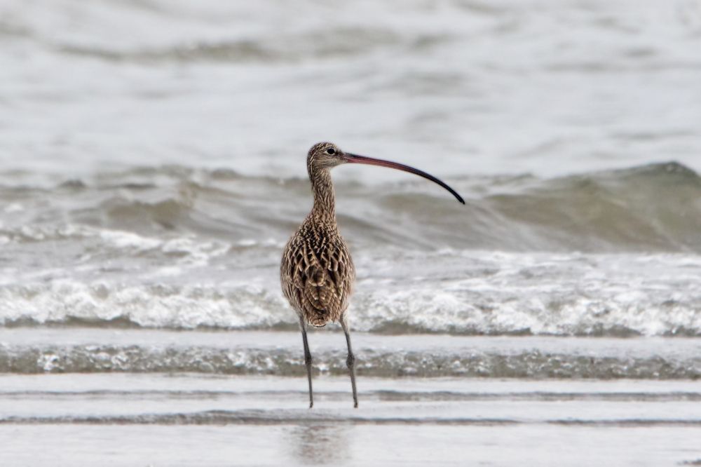 Photograph by  賴清淇