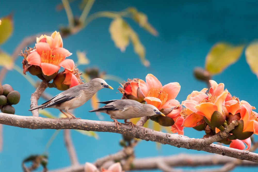 Photograph by  賴清淇