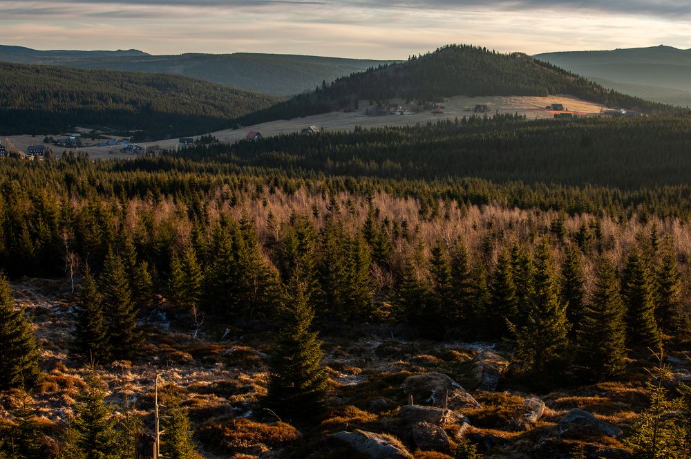 Фотография автора Chorche Prigo