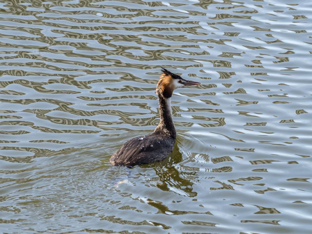 Photograph by Yury Fokin