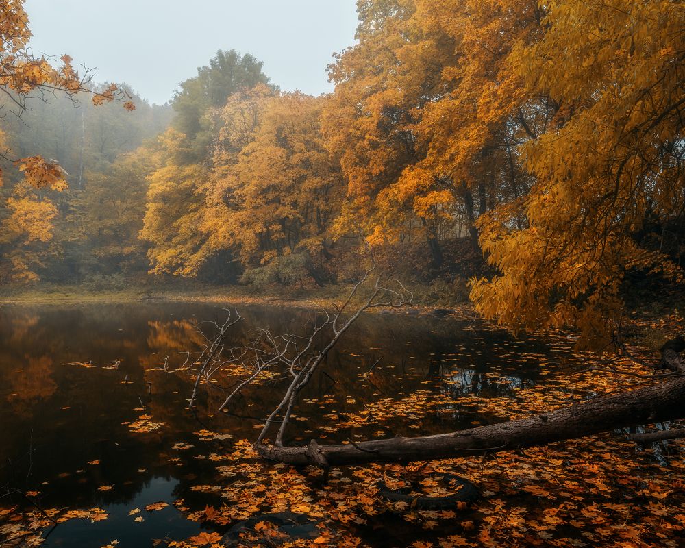 Фотография автора Мартыненко Дмитрий