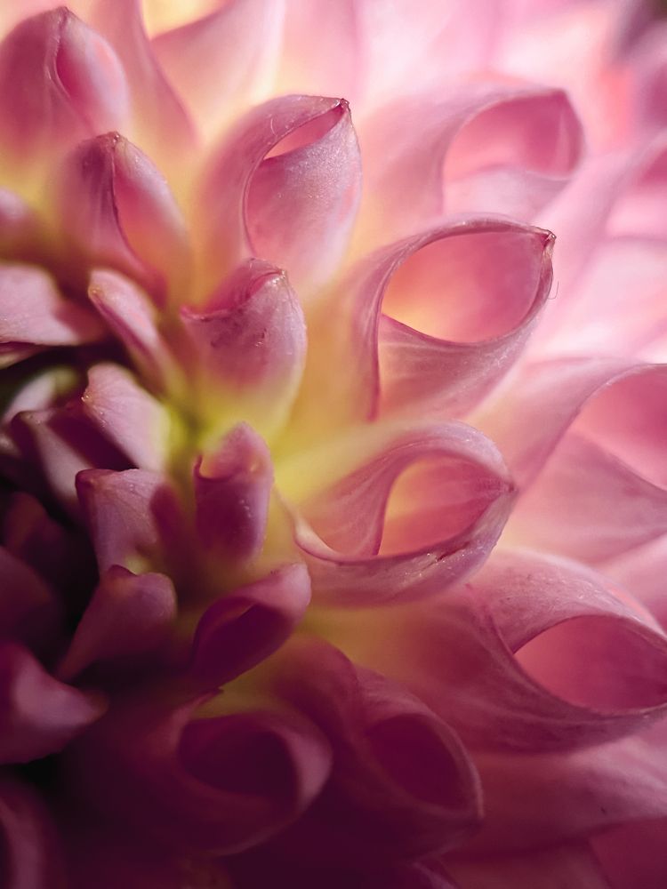 Photograph by Елена Громова