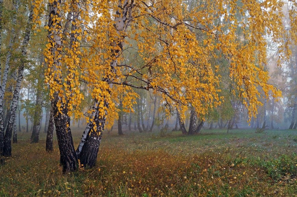 Photograph by Мишустина Татьяна