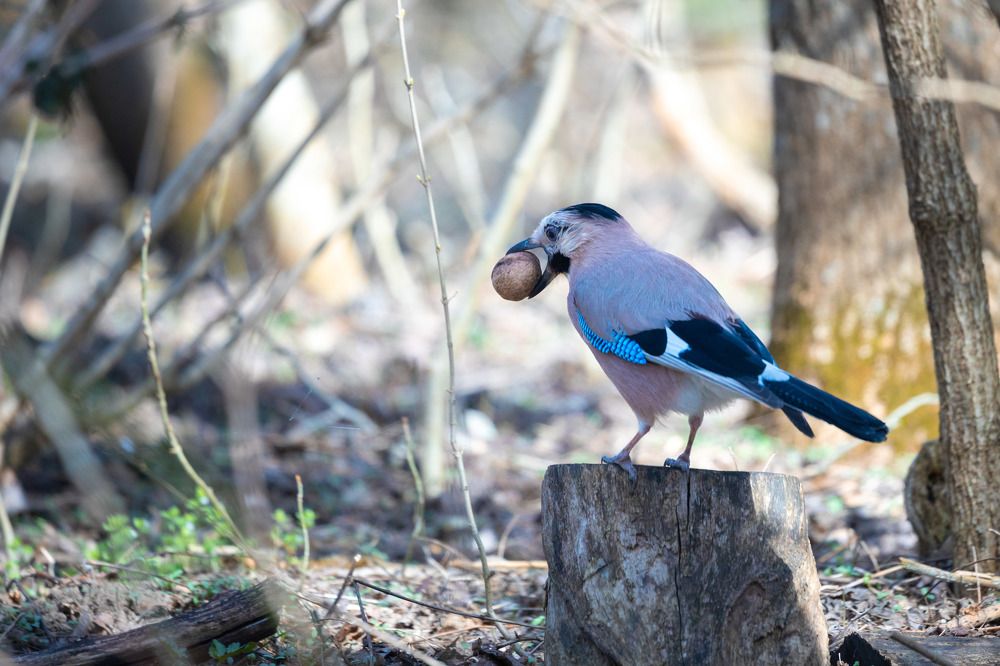 Photograph by Антон Скоморохов