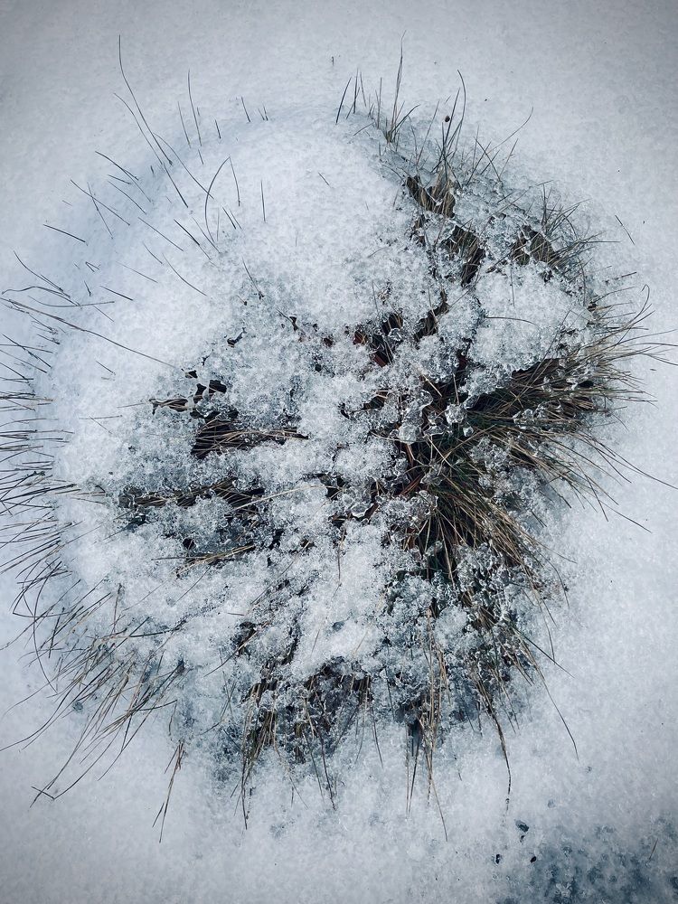 Фотография автора Olga Andriuc