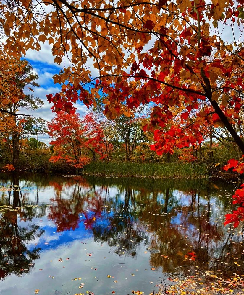 Фотография автора Olga Andriuc